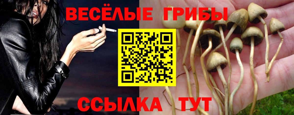 Галлюциногенные грибы MAGIC MUSHROOMS  Вход с VPN  Черногорск 